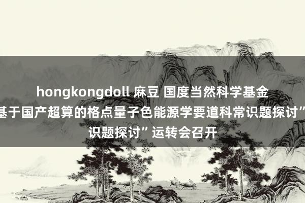 hongkongdoll 麻豆 国度当然科学基金首要名堂“基于国产超算的格点量子色能源学要道科常识题探讨”运转会召开