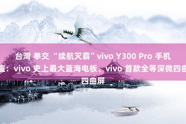 台灣 拳交 “续航灭霸”vivo Y300 Pro 手机官宣：vivo 史上最大蓝海电板、vivo 首款全等深微四曲屏