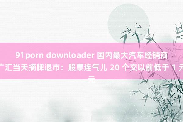 91porn downloader 国内最大汽车经销商广汇当天摘牌退市：股票连气儿 20 个交以前低于 1 元