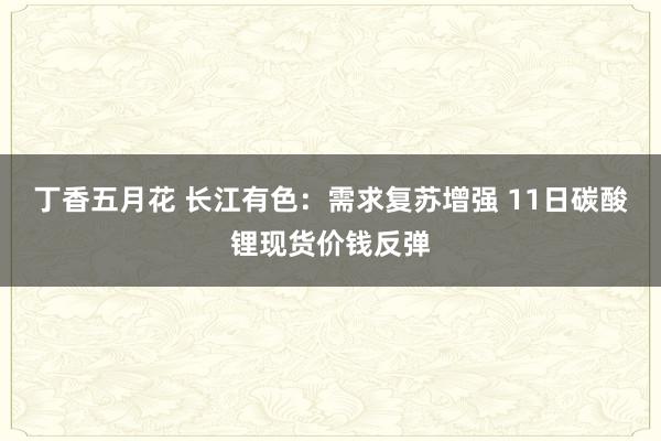 丁香五月花 长江有色：需求复苏增强 11日碳酸锂现货价钱反弹