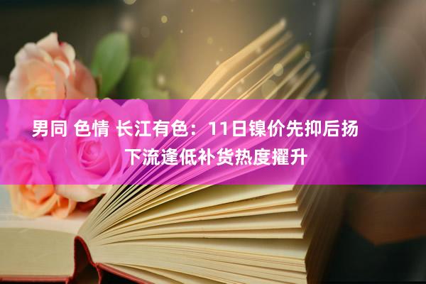 男同 色情 长江有色：11日镍价先抑后扬        下流逢低补货热度擢升