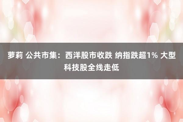 萝莉 公共市集：西洋股市收跌 纳指跌超1% 大型科技股全线走低