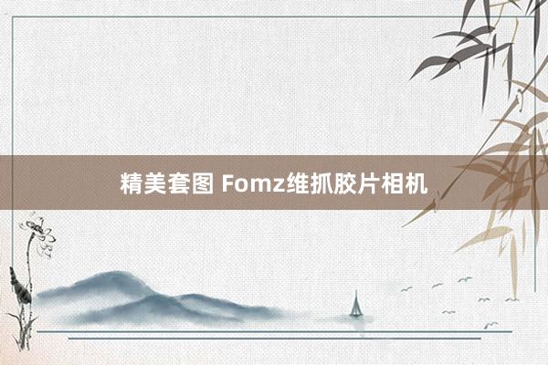 精美套图 Fomz维抓胶片相机